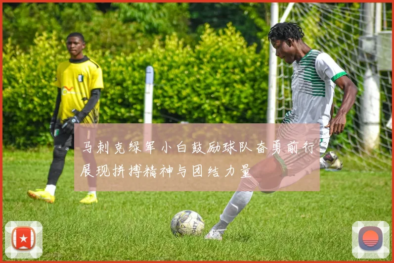 马刺克绿军小白鼓励球队奋勇前行展现拼搏精神与团结力量