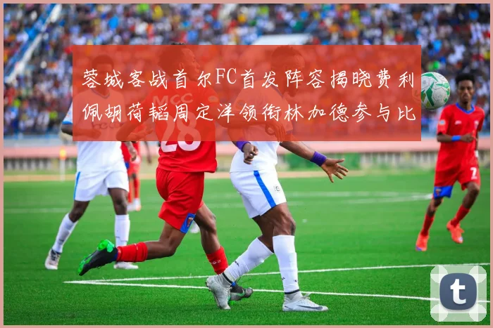 蓉城客战首尔FC首发阵容揭晓费利佩胡荷韬周定洋领衔林加德参与比赛