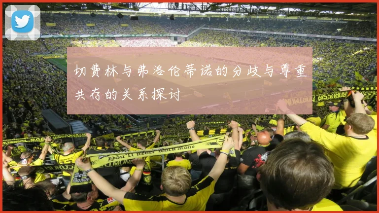 切费林与弗洛伦蒂诺的分歧与尊重共存的关系探讨